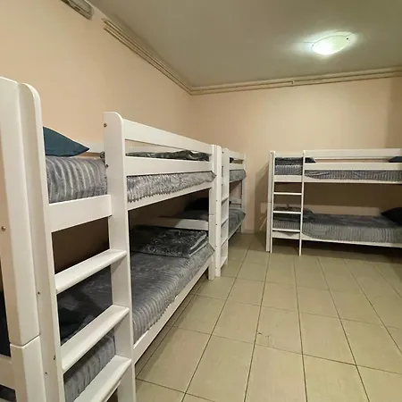 Bg Sunflower * Belgrado