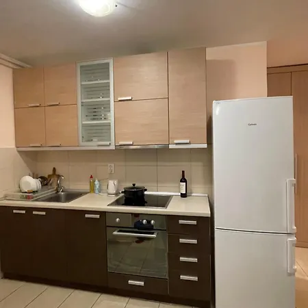 Bg Sunflower * Belgrado