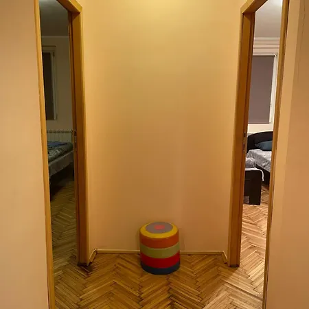 Bg Sunflower Belgrade