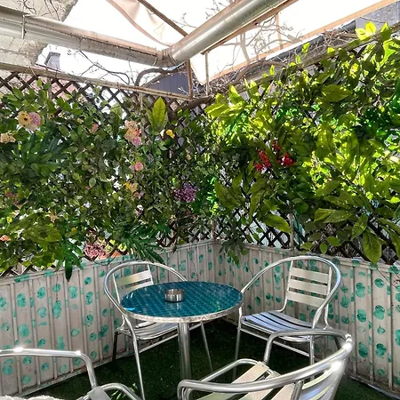 Bg Sunflower * Belgrade